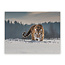 Sweet Living Leinwand Bild Tiger im Schnee