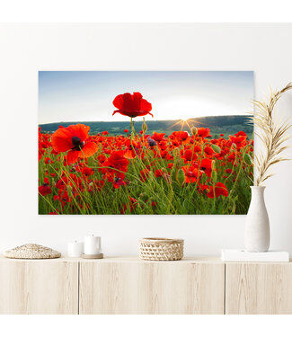 Sweet Living Leinwand Bild Mohnblumen in der Sonne