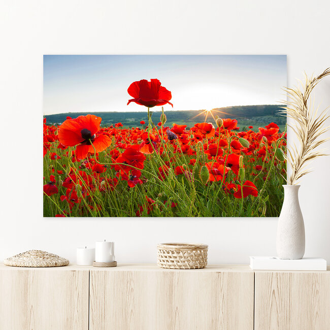 Sweet Living Leinwand Bild Mohnblumen in der Sonne