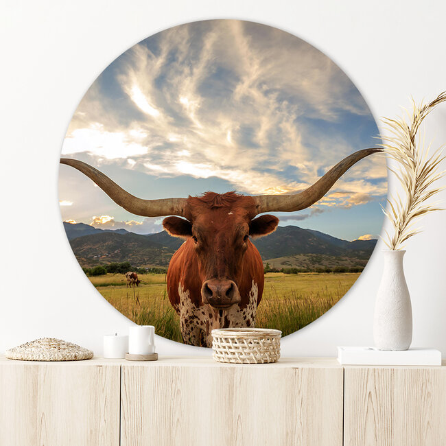 Sweet Living Runde Bilder Texas Longhorn