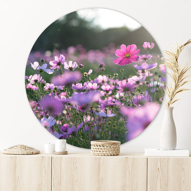 Sweet Living Runde Bilder Cosmea Blumen