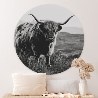 Sweet Living Runde Bilder Highlander Stier