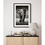 Sweet Living Poster mit Rahmen Afrikanischer Elefant