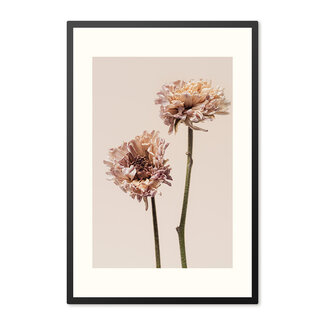 Sweet Living Poster mit Rahmen Chrysanten