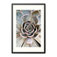 Sweet Living Poster mit Rahmen Close Up Succulent Plant