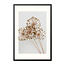 Sweet Living Poster mit Rahmen Dry Flower