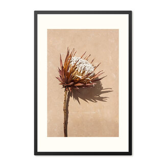 Sweet Living Poster mit Rahmen Dried Exotic Flower