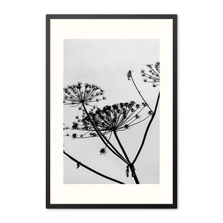 Sweet Living Poster mit Rahmen Hogweed Silhouette