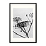 Sweet Living Poster mit Rahmen Hogweed Silhouette