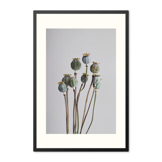 Sweet Living Poster mit Rahmen Poppy Flowers