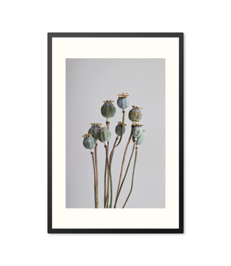 Sweet Living Poster mit Rahmen Poppy Flowers