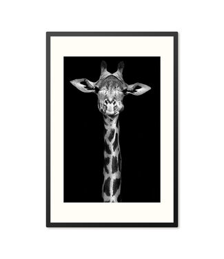 Sweet Living Poster mit Rahmen Giraffe Schwarz/Weiß