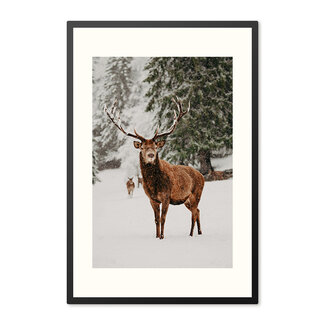 Sweet Living Poster mit Rahmen Hirsche im Schnee