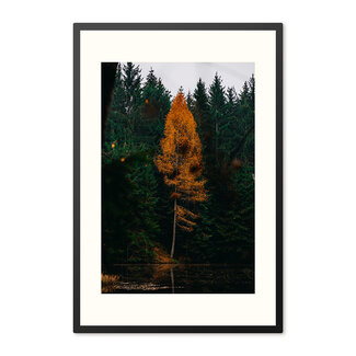 Sweet Living Poster mit Rahmen Orangenbaum