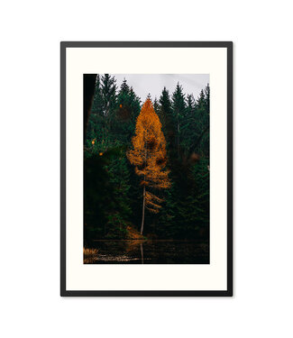 Sweet Living Poster mit Rahmen Orangenbaum