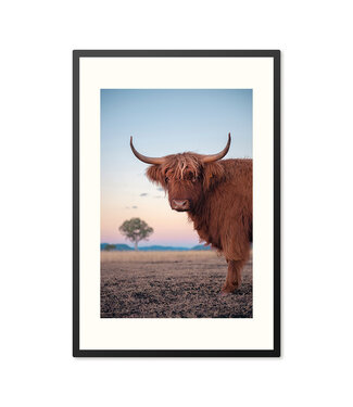 Sweet Living Poster mit Rahmen Highlander bei Sonnenuntergang