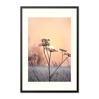 Sweet Living Poster mit Rahmen Cold Flowers