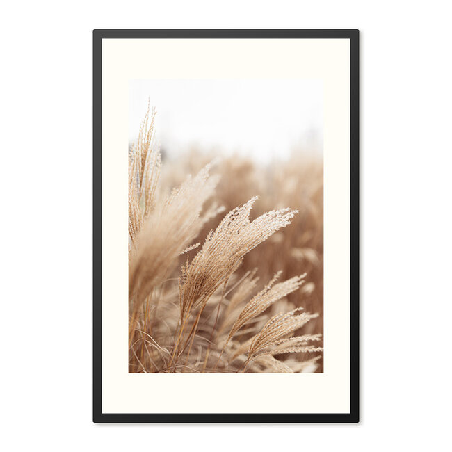 Sweet Living Poster mit Rahmen Pampas Close-Up