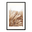 Sweet Living Poster mit Rahmen Pampas Close-Up