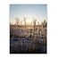 Sweet Living Glas Bild Wintersonnenuntergang