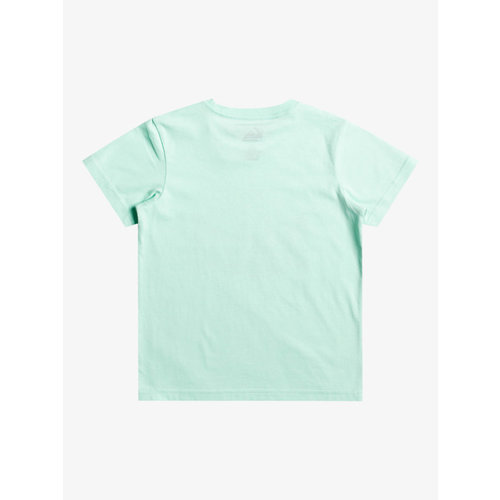 Quiksilver Peaceful Break - T-Shirt voor Jongens 2-7