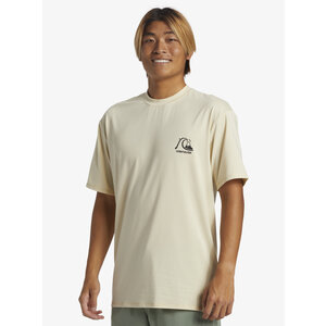 Quiksilver DNA Surf - UPF 50 Surf T-Shirt met Korte Mouwen voor Heren