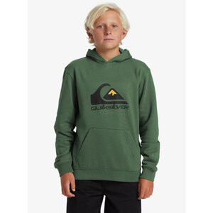 Quiksilver Big Logo - Hoodie voor Jongens 8-16