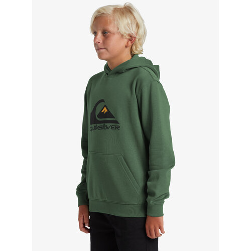 Quiksilver Big Logo - Hoodie voor Jongens 8-16