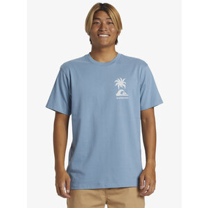 Quiksilver Tropical Breeze - T-Shirt voor Heren