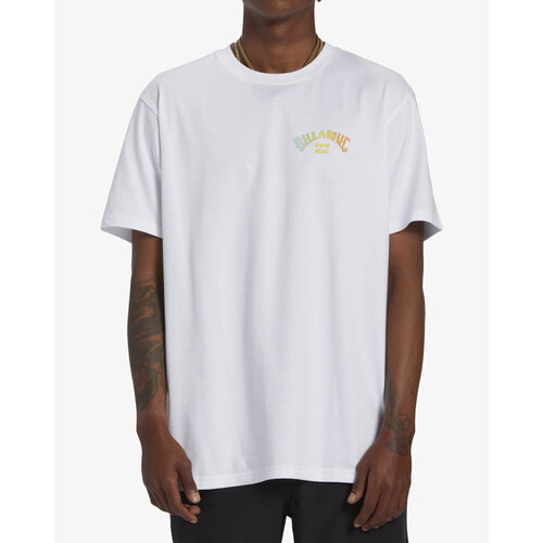 Billabong Arch Fill - T-Shirt voor Heren