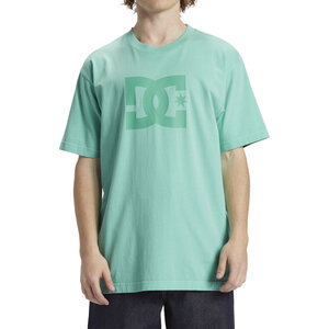 DC Shoes DC Star - T-Shirt voor Heren