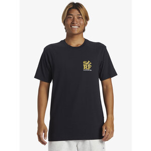 Quiksilver Surf Moe - T-Shirt voor Heren