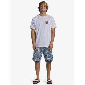 Quiksilver Surf Moe - T-Shirt voor Heren