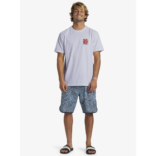 Quiksilver Surf Moe - T-Shirt voor Heren