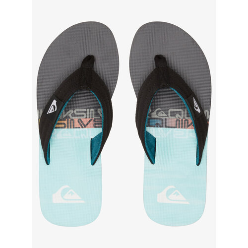 Quiksilver Molokai Layback - Slippers  voor Heren