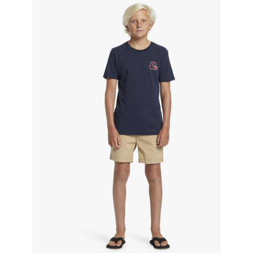 Quiksilver Taxer - Walkshort voor Jongens 8-16