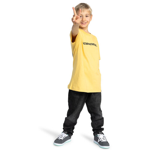 DC Shoes Whereabouts - T-shirt met Korte mouw voor Jongens 8-16