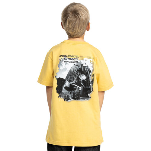 DC Shoes Whereabouts - T-shirt met Korte mouw voor Jongens 8-16