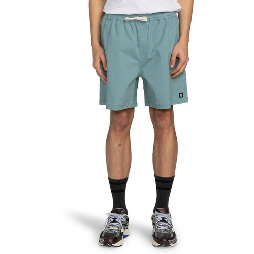 Element Chillin Classic 17" - Walkshort met Elastische taille voor Heren