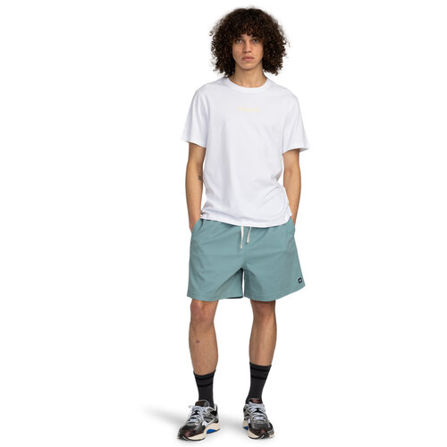 Element Chillin Classic 17" - Walkshort met Elastische taille voor Heren
