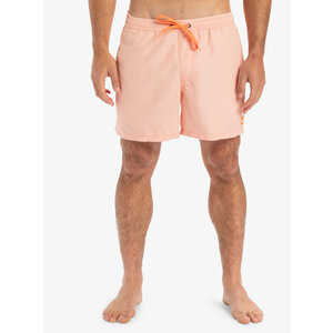 Quiksilver Everyday Deluxe 15" - Zwembroek voor Heren