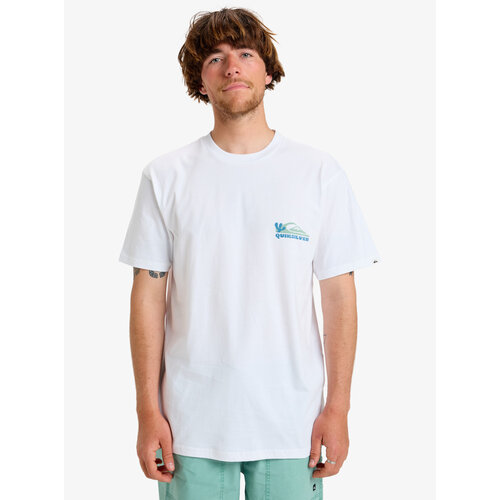 Quiksilver Everyday Paradise - T-shirt met Zeefdruk met Korte mouw voor heren Quiksilver Everyday Paradise - T-shirt met Zeefdruk met Korte mouw voor heren
