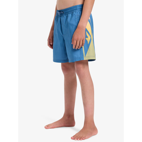 Quiksilver Everyday Holmes 14" - Zwembroek voor Jongens 8-16