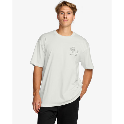 Billabong Scenes Regular - T-shirt met korte mouwen voor Heren