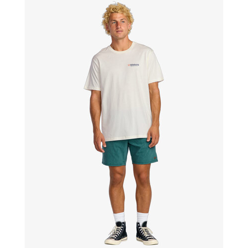 Billabong Abandon A/Div - T-shirt met korte mouwen voor Heren