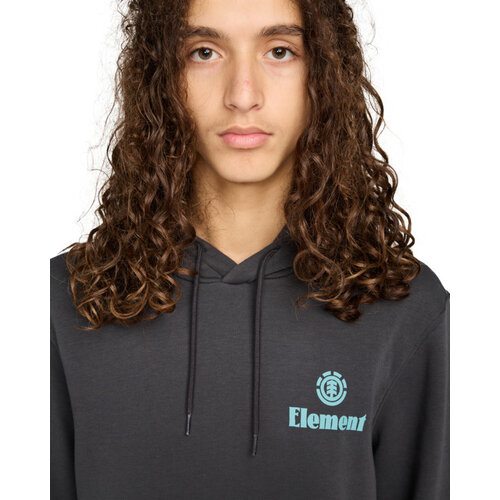 Element Epic Po - Hoodie voor Heren