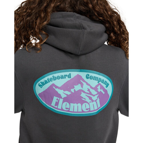 Element Epic Po - Hoodie voor Heren