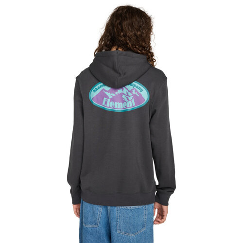 Element Epic Po - Hoodie voor Heren