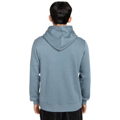 Element Icon Embroidery Po - Hoodie voor Heren