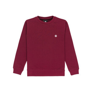 Element Sweater voor Jongens 8-16